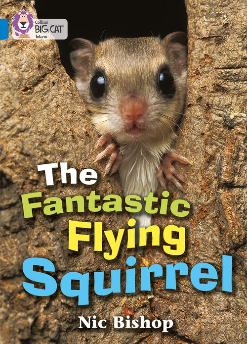 Collins Big Cat - The Fantastic Flying Squirrel: Band 04/Blue
