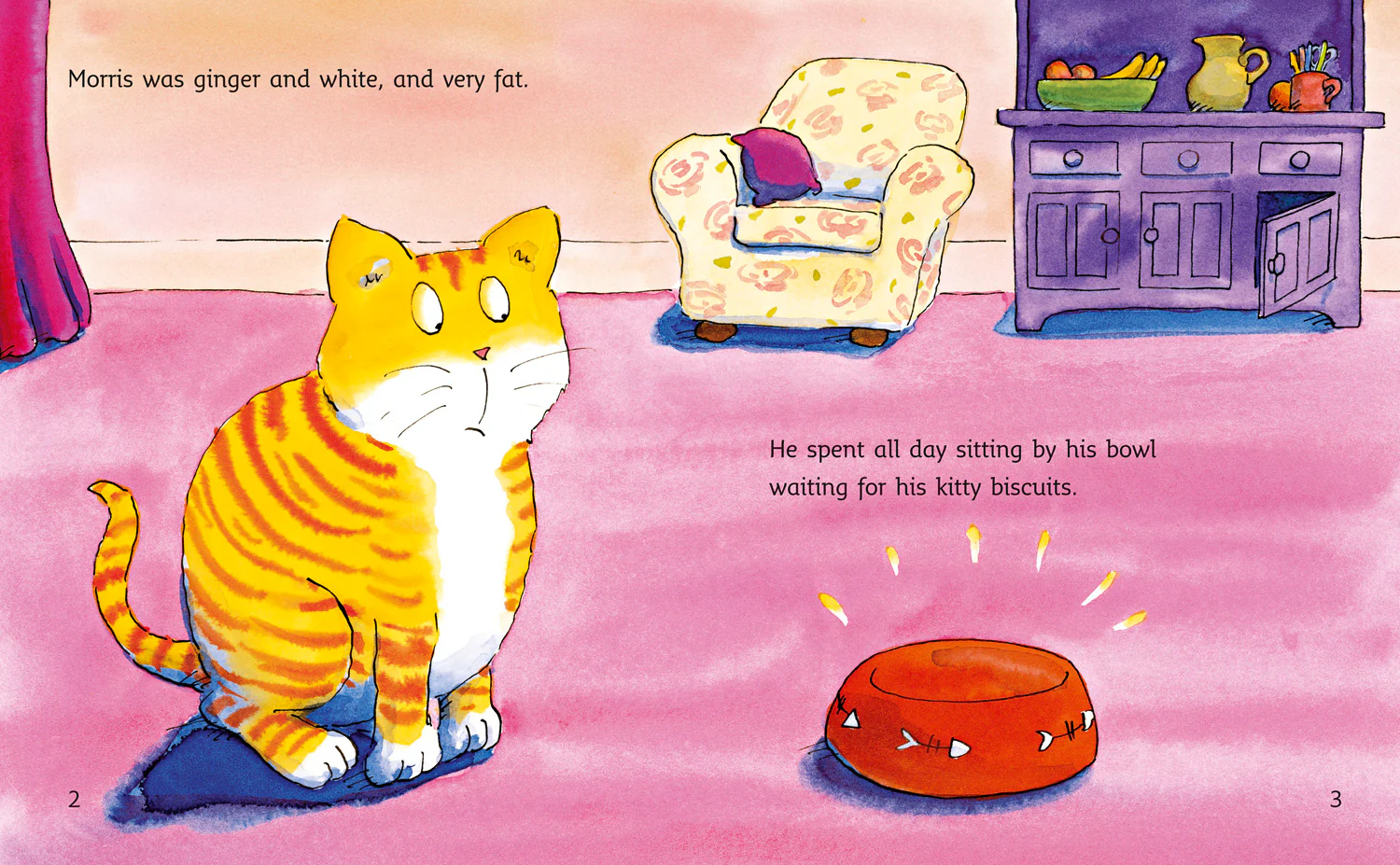 Collins Big Cat - Morris Plays Hide and Seek: Band 06/Orange - Image 2