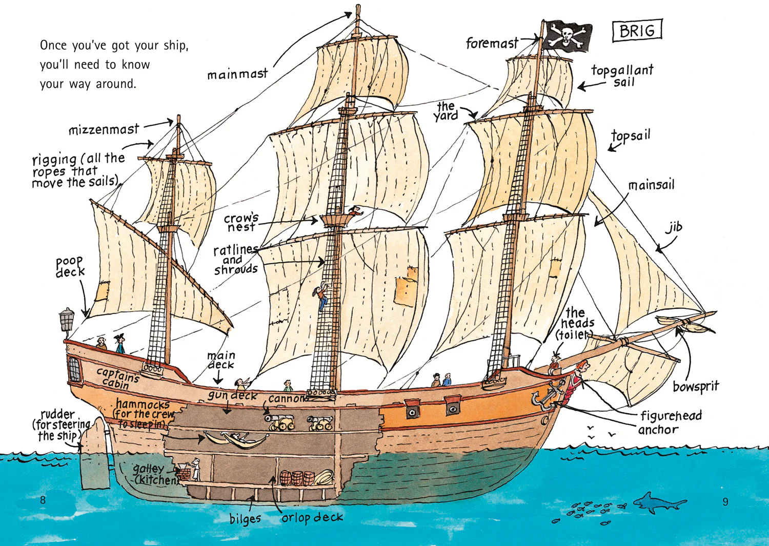 Collins Big Cat - How to be a Pirate: Band 09/Gold - Image 3