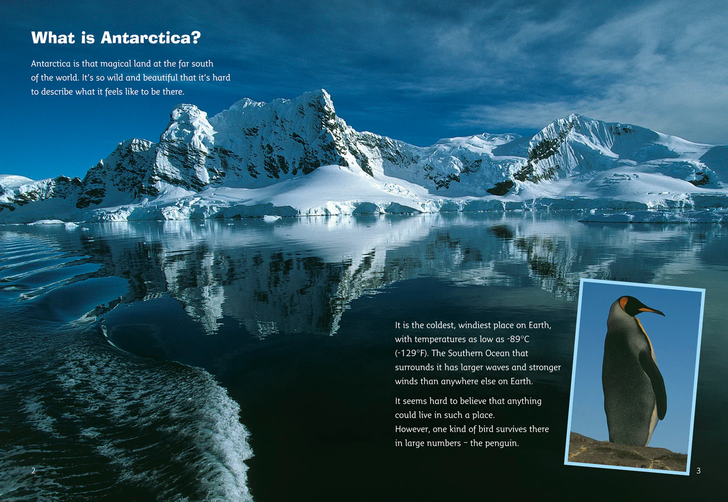 Collins Big Cat - Antarctica: Land of the Penguins: Band 10/White - Image 2