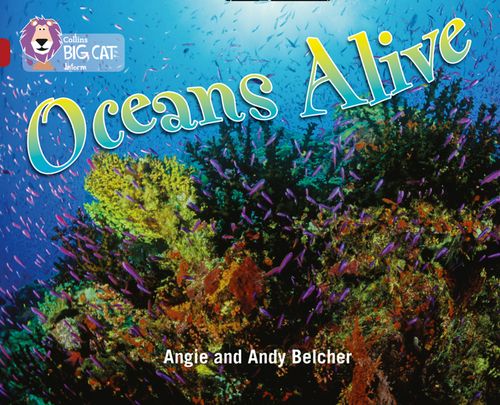 Collins Big Cat - Oceans Alive: Band 14/Ruby
