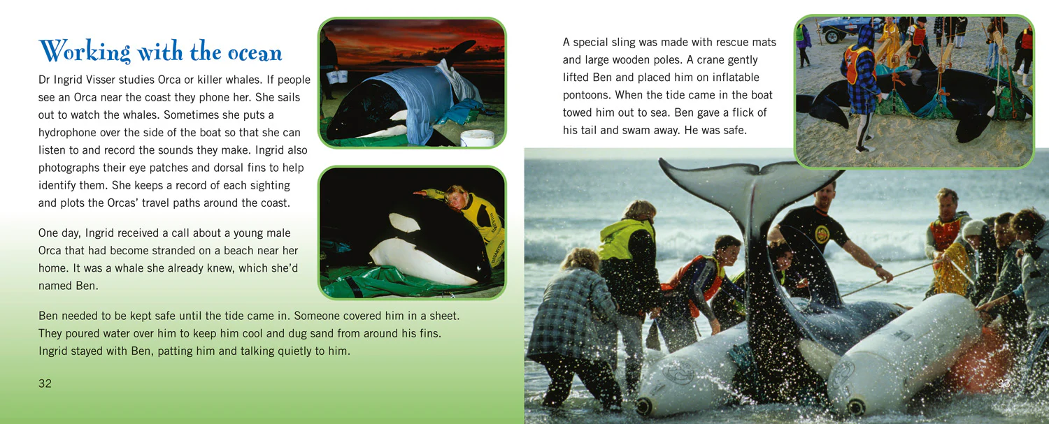 Collins Big Cat - Oceans Alive: Band 14/Ruby - Image 3