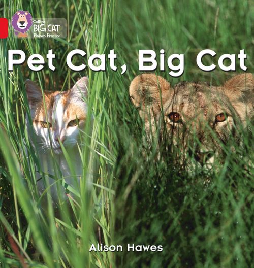 Collins Big Cat Phonics - Pet Cat, Big Cat: Band 02A/Red A