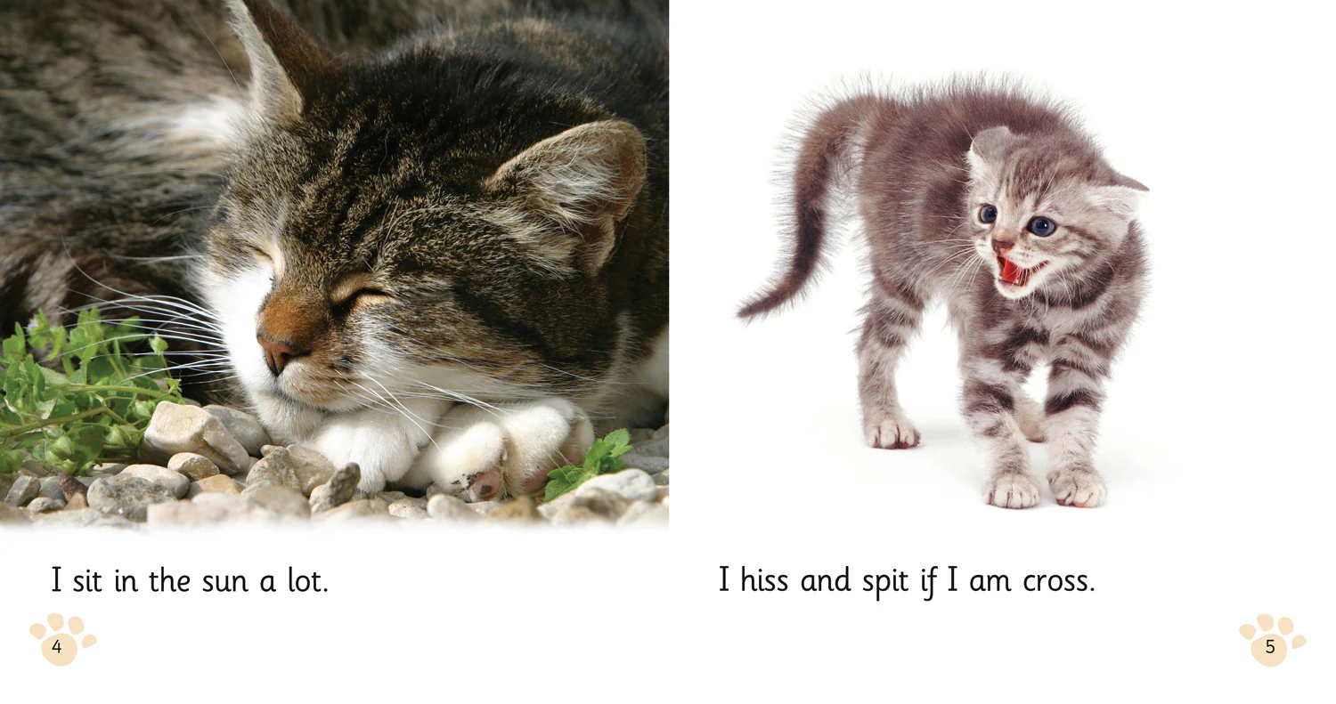 Collins Big Cat Phonics - Pet Cat, Big Cat: Band 02A/Red A - Image 3
