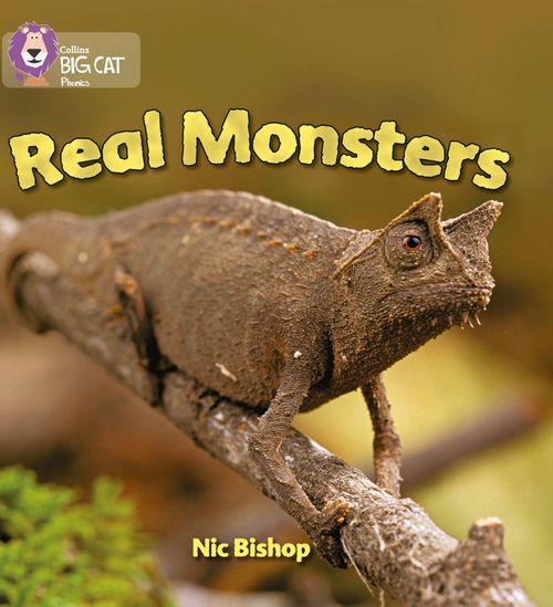 Collins Big Cat Phonics - Real Monsters: Band 03/Yellow