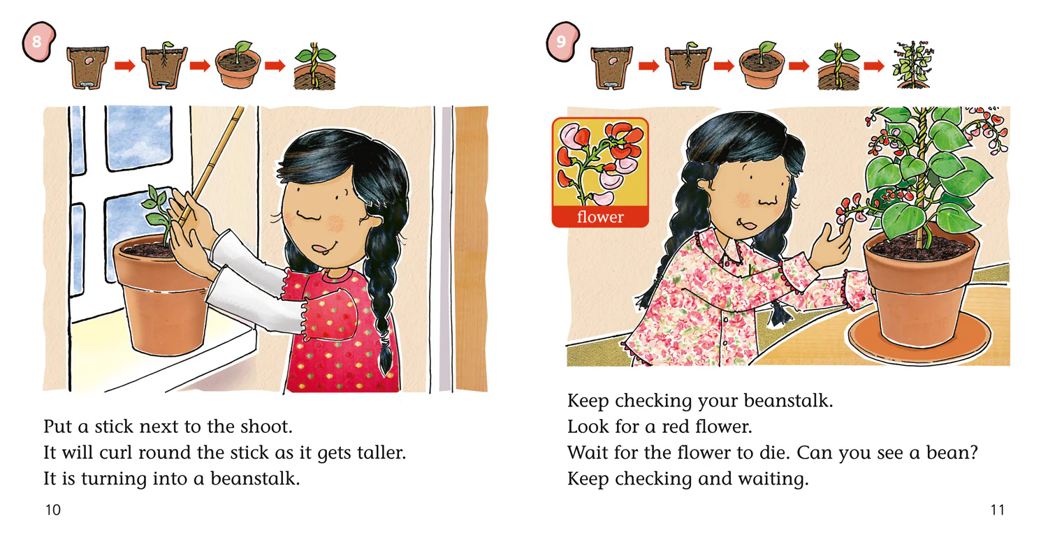 Collins Big Cat Phonics - How to Grow a Beanstalk: Band 04/Blue - Image 3