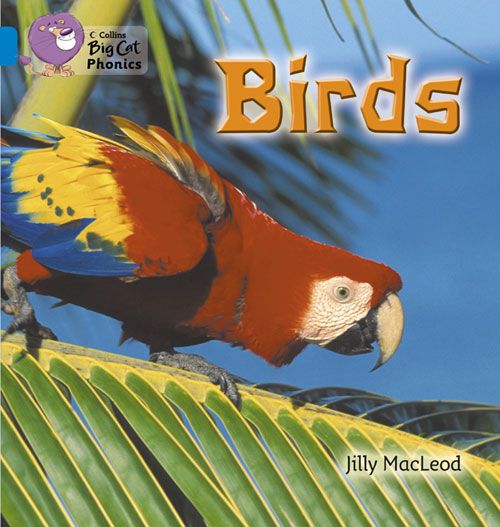 Collins Big Cat Phonics - Birds: Band 04/Blue