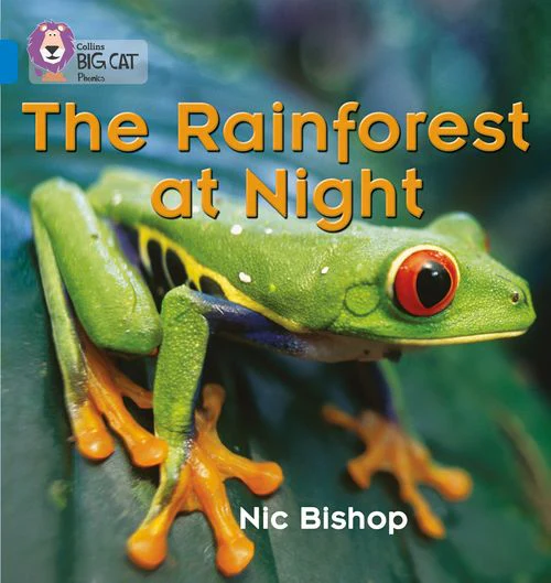 Collins Big Cat Phonics - The Rainforest at Night: Band 04/Blue