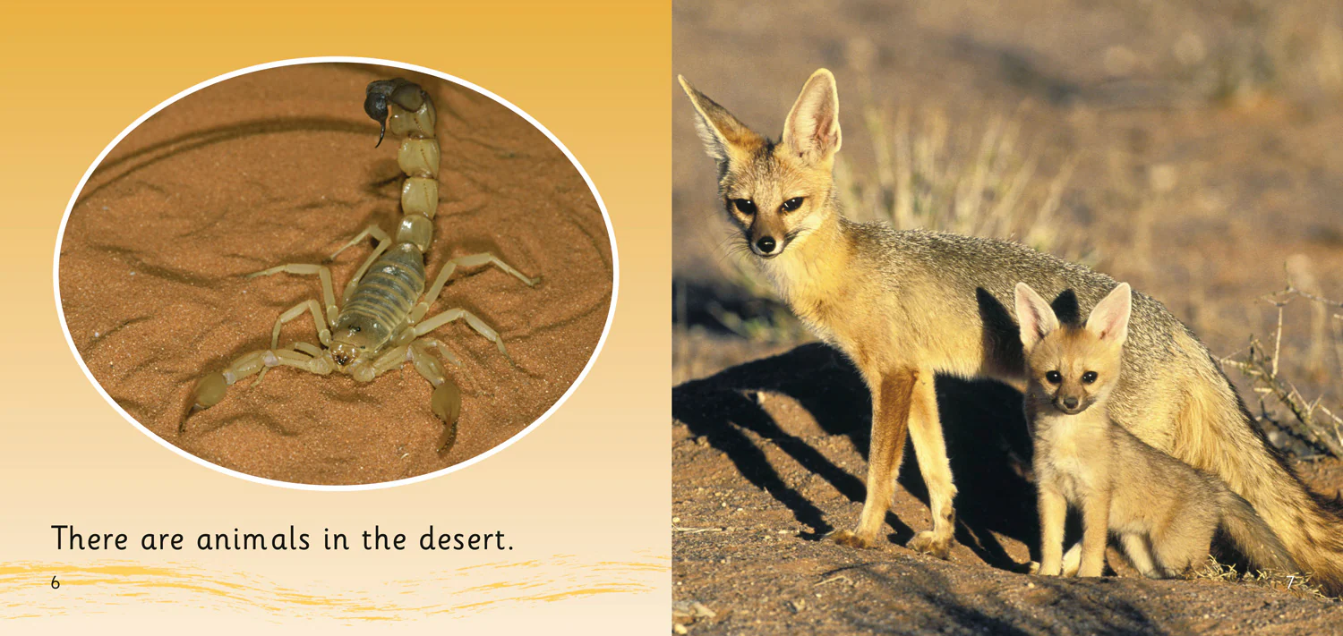 Collins Big Cat - In the Desert: Band 01B/Pink B - Image 3