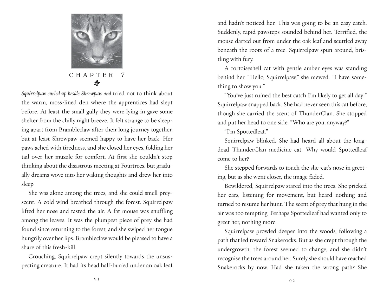 Warriors: The New Prophecy - DAWN - Image 2