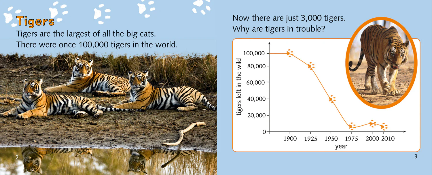 Collins Big Cat Progress - Tigers in Trouble: Band 04 Blue/Band 12 Copper - Image 2