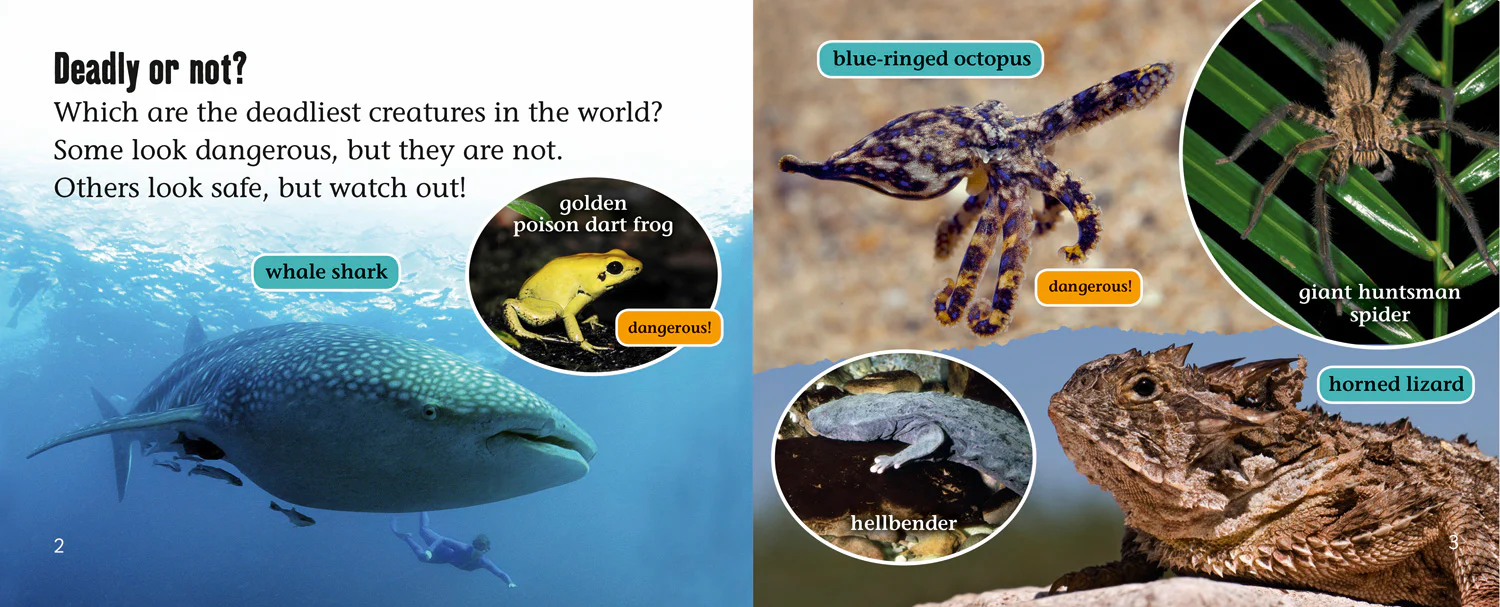 Collins Big Cat Progress - World’s Deadliest Creatures: Band 04 Blue/Band 14 Ruby - Image 2