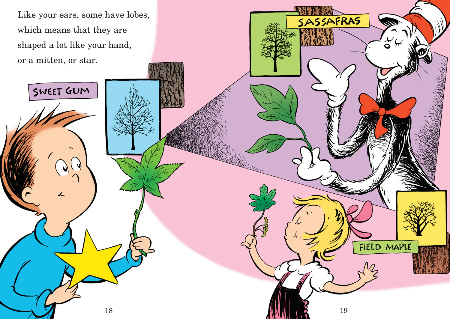 The Cat in the Hat’s Learning Library - I Can Name 50 Trees Today - Image 3