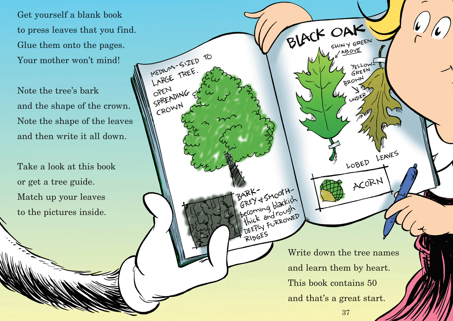 The Cat in the Hat’s Learning Library - I Can Name 50 Trees Today - Image 4