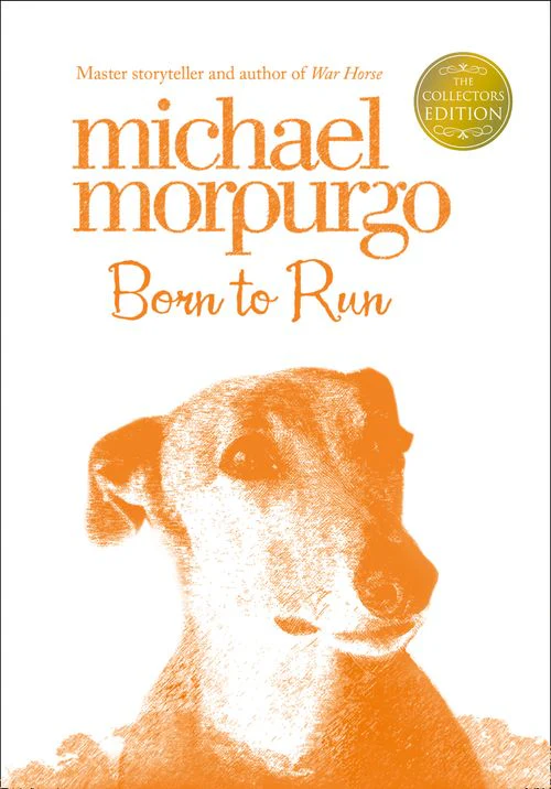 Collector’s Edition - Born to Run