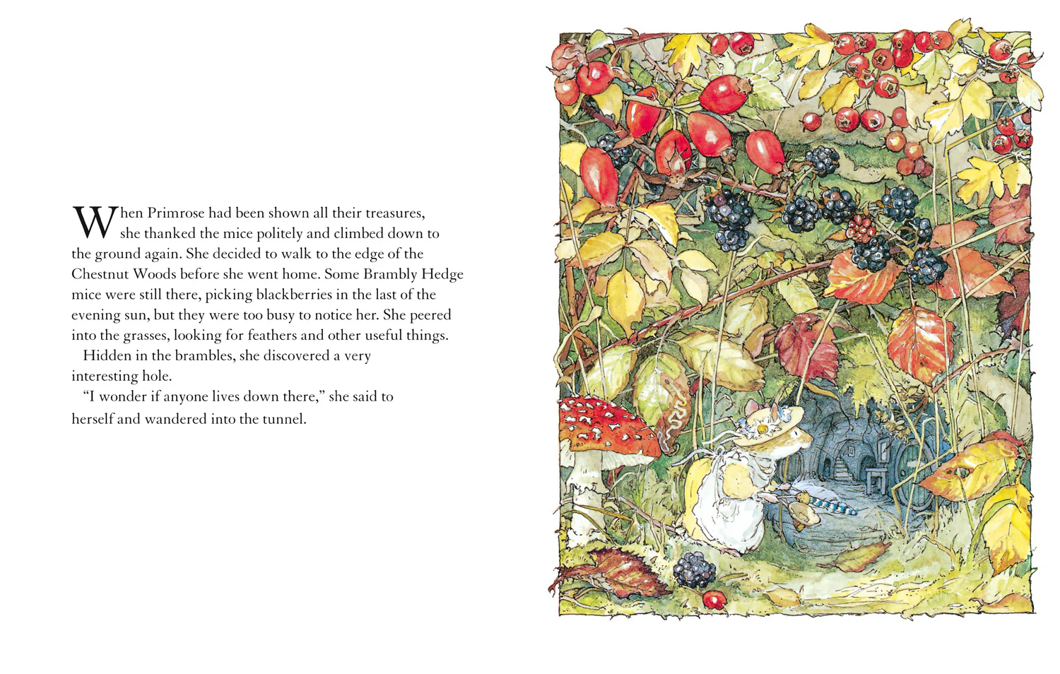 Brambly Hedge - Autumn Story - Image 3