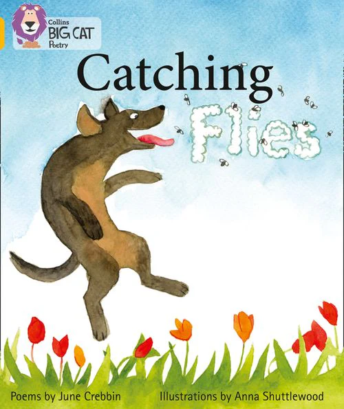 Collins Big Cat - Catching Flies: Band 09/Gold