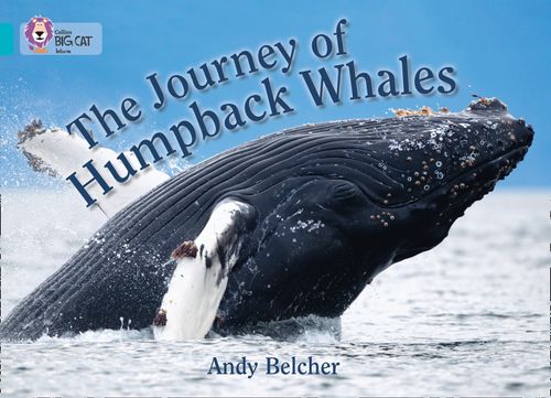Collins Big Cat - The Journey of Humpback Whales: Band 07/Turquoise