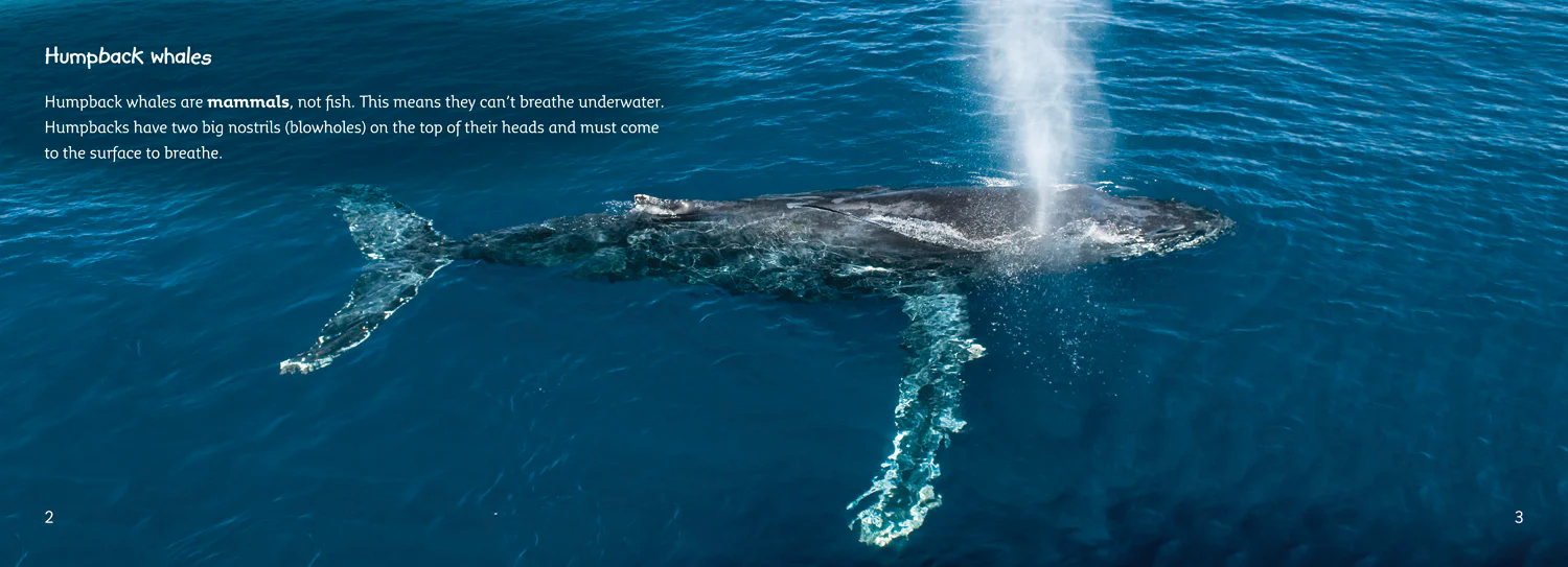 Collins Big Cat - The Journey of Humpback Whales: Band 07/Turquoise - Image 2