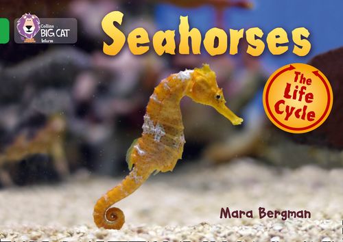 Collins Big Cat - Seahorses: Band 05/Green
