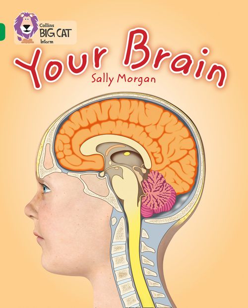 Collins Big Cat - Your Brain: Band 15/Emerald