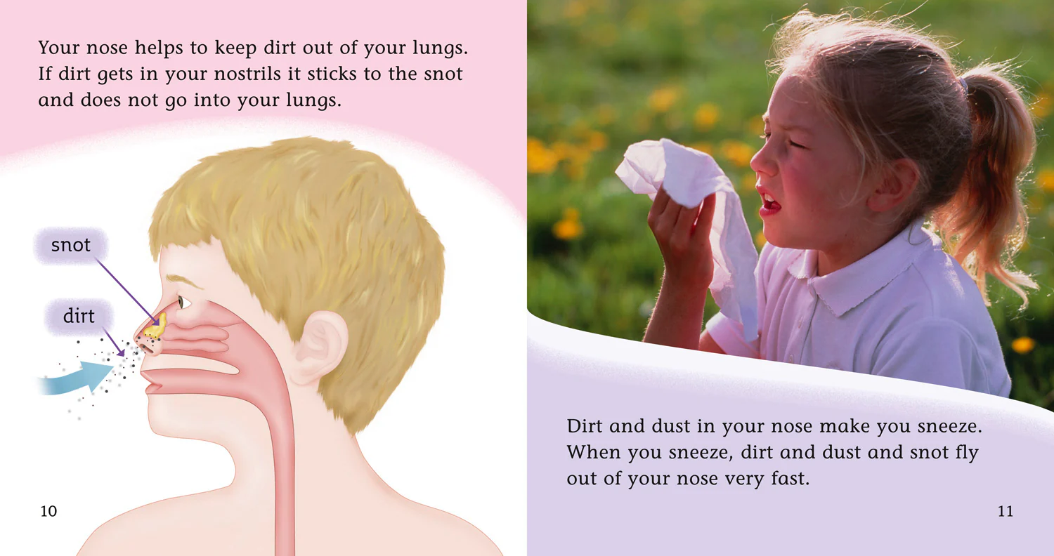 Collins Big Cat Phonics - YOUR NOSE: Band 04/Blue - Image 3