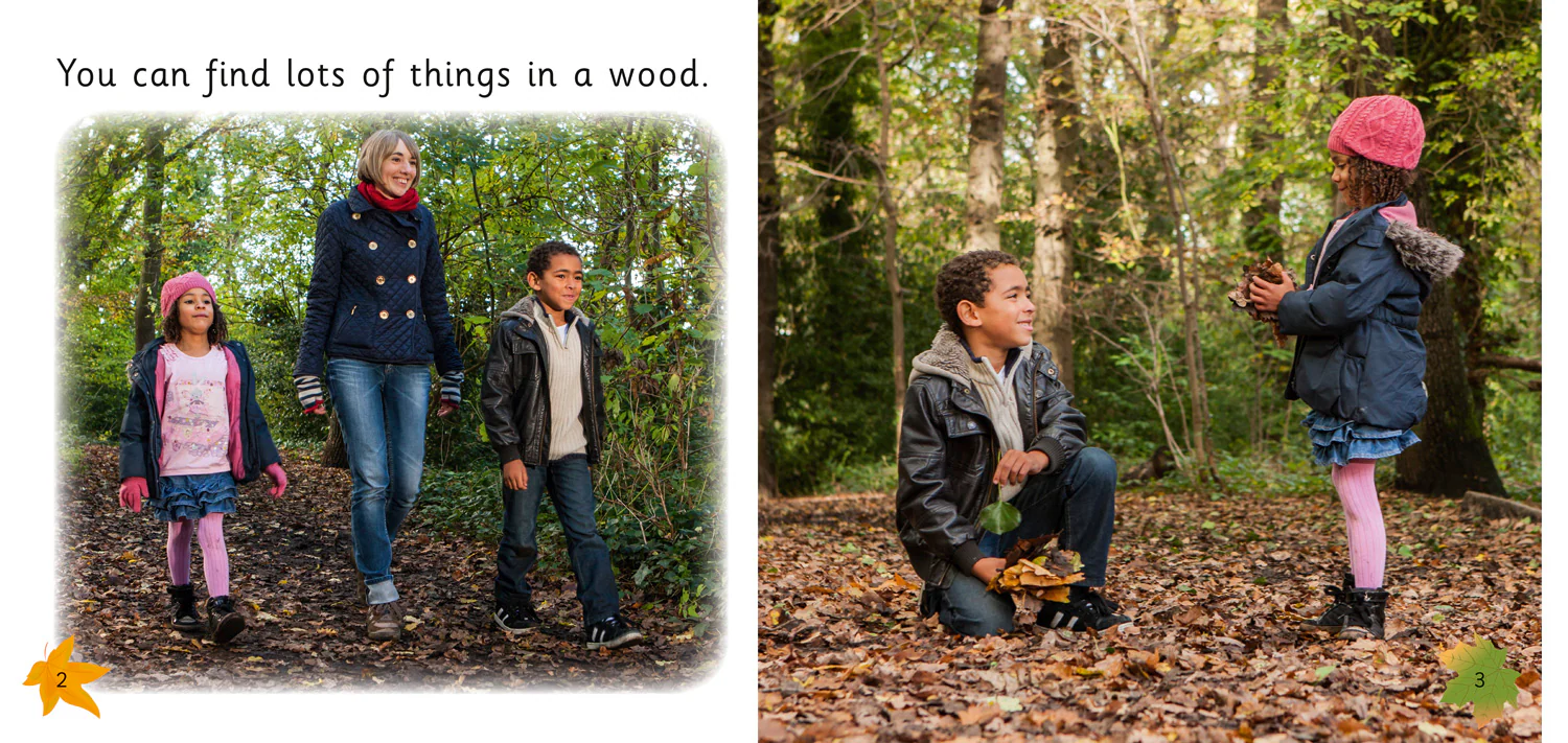 Collins Big Cat - Art in the Woods: Band 02B/Red B - Image 2