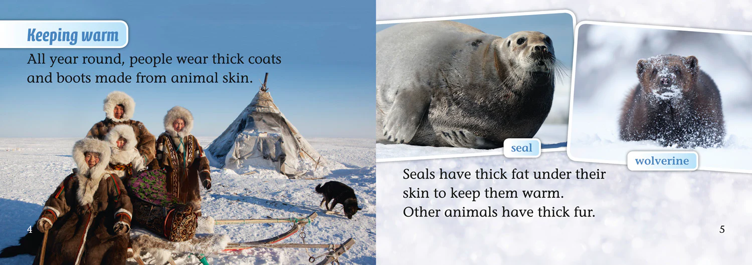 Collins Big Cat - Arctic Life: Band 04/Blue - Image 3