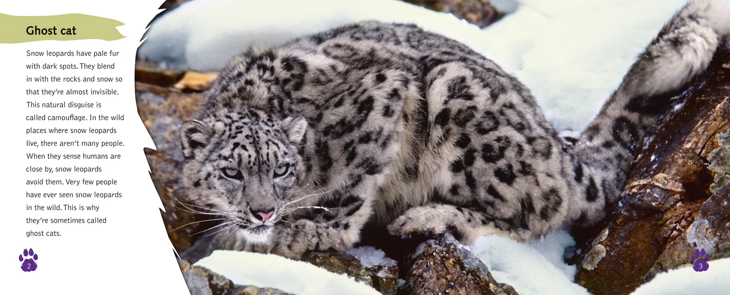 Collins Big Cat Progress - Snow Leopards: Band 11 Lime/Band 12 Copper - Image 2