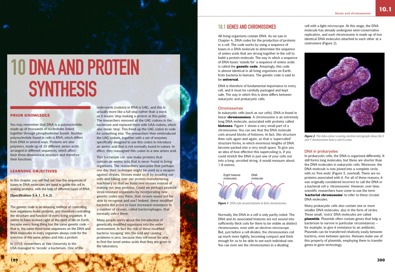 Collins AQA A Level Science - AQA A Level Biology Year 1 and AS Student Book - Image 3