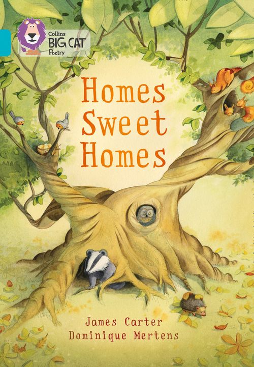 Collins Big Cat - Homes Sweet Homes: Band 07/Turquoise
