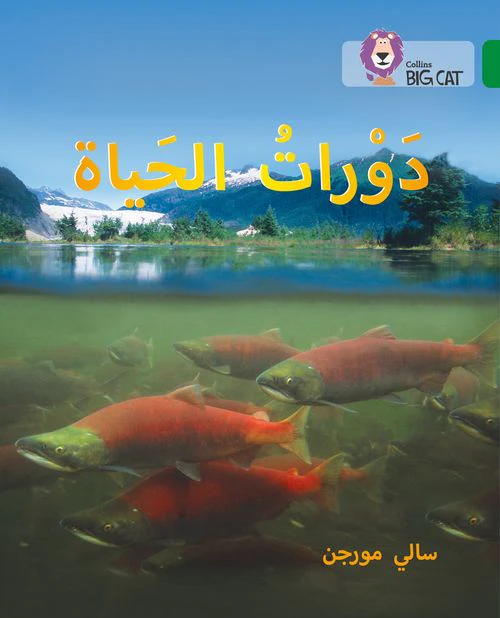 Collins Big Cat Arabic Reading Programme - Life Cycles: Level 15 (First edition)