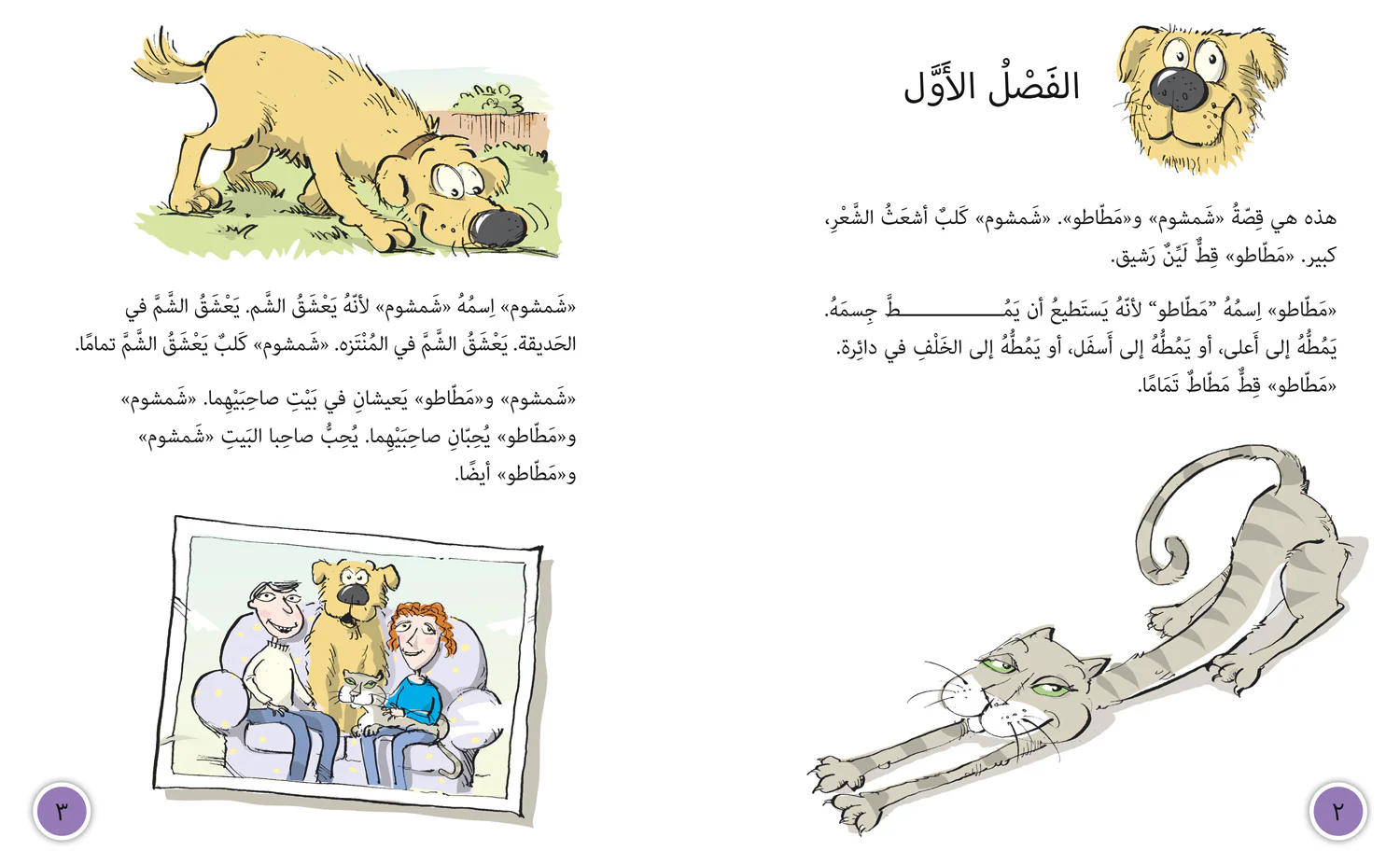 Collins Big Cat Arabic Reading Programme - Monster in the Mirror: Level 14 (First edition) - Image 2