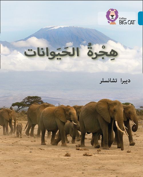 Collins Big Cat Arabic Reading Programme - Animal Migration: Level 13 (First edition)