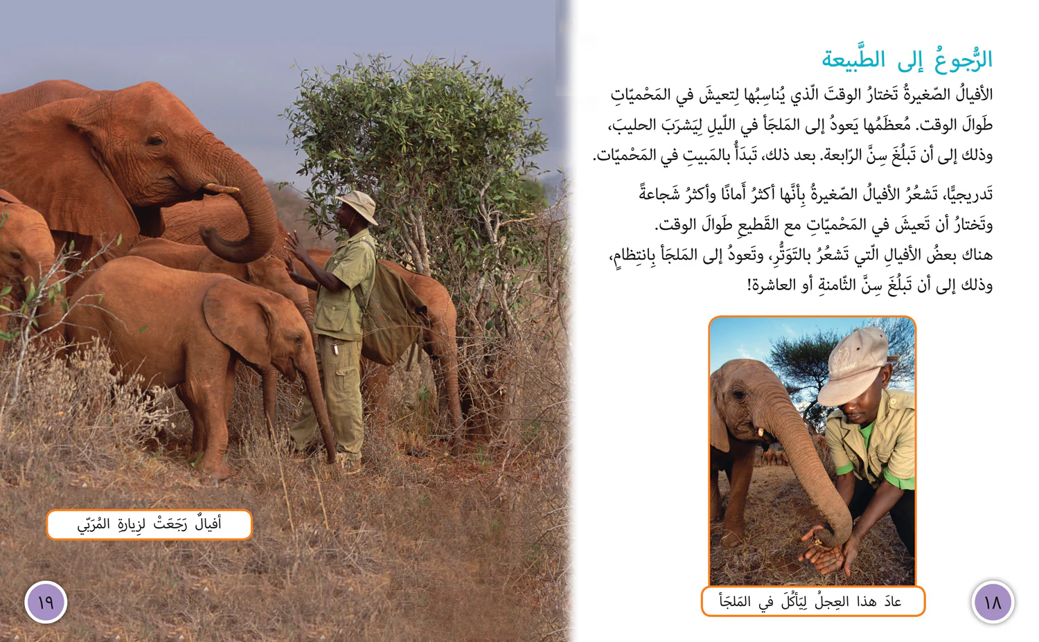 Collins Big Cat Arabic Reading Programme - Elephant Sanctuary: Level 12 (First edition) - Image 3