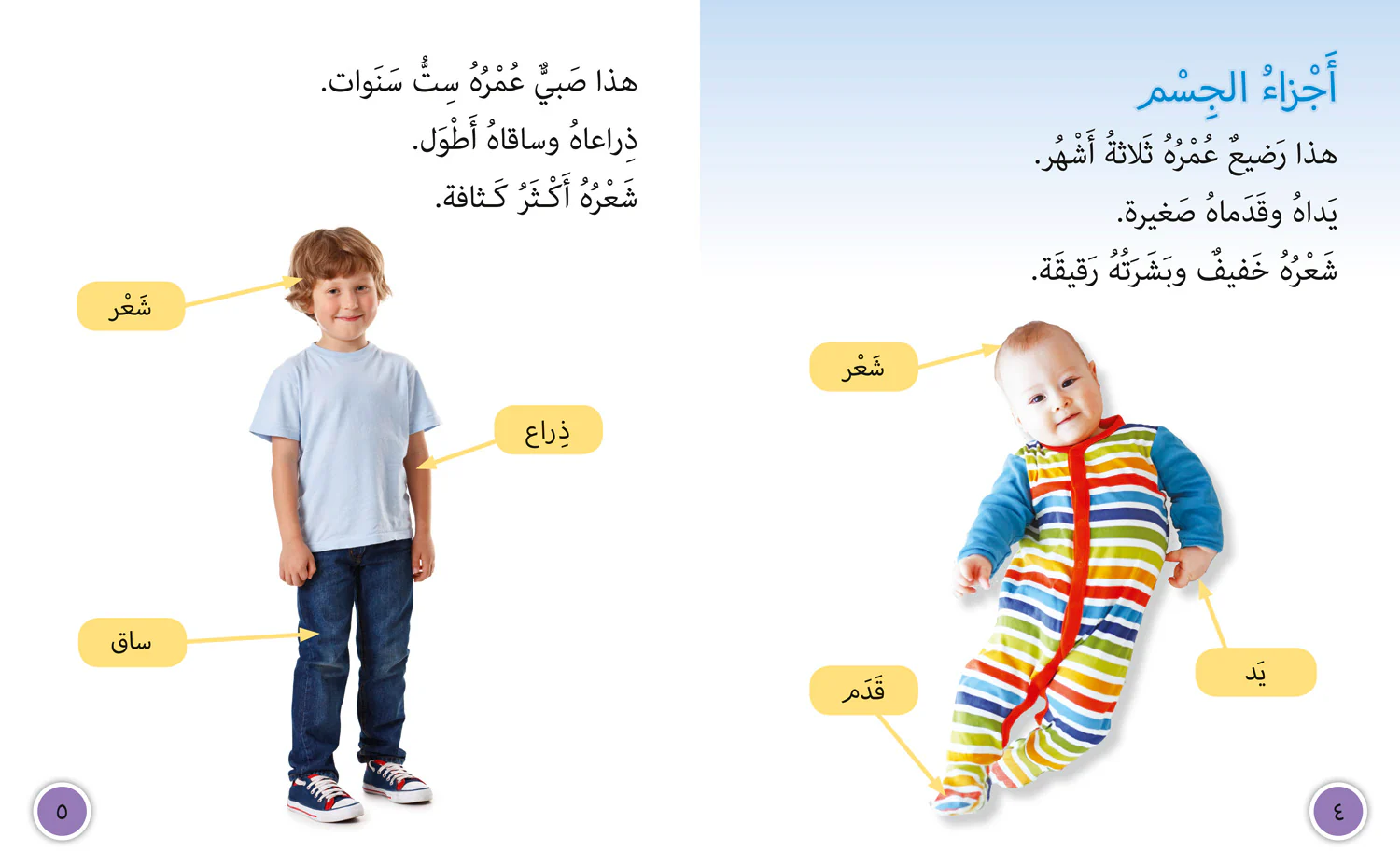 Collins Big Cat Arabic Reading Programme - We Grow and Change: Level 9 (First edition) - Image 3