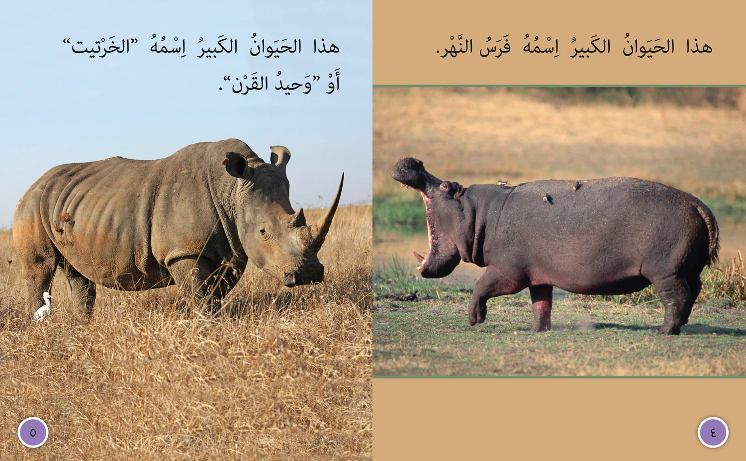 Collins Big Cat Arabic Reading Programme - The Helper Bird: Level 8 (First edition) - Image 3