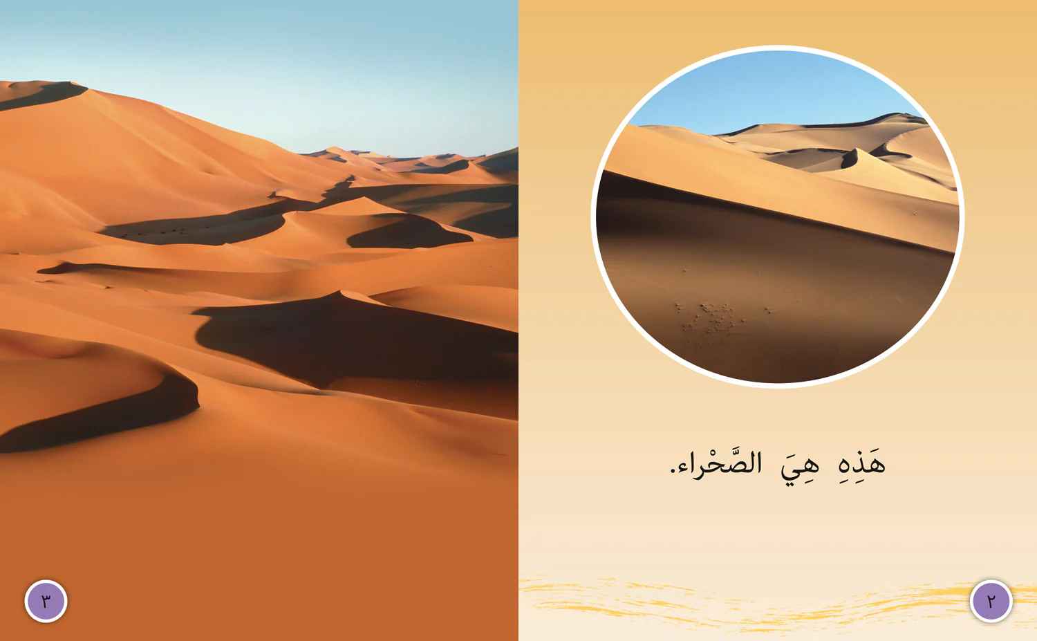 Collins Big Cat Arabic Reading Programme - In the Desert: Level 6 (First edition) - Image 2