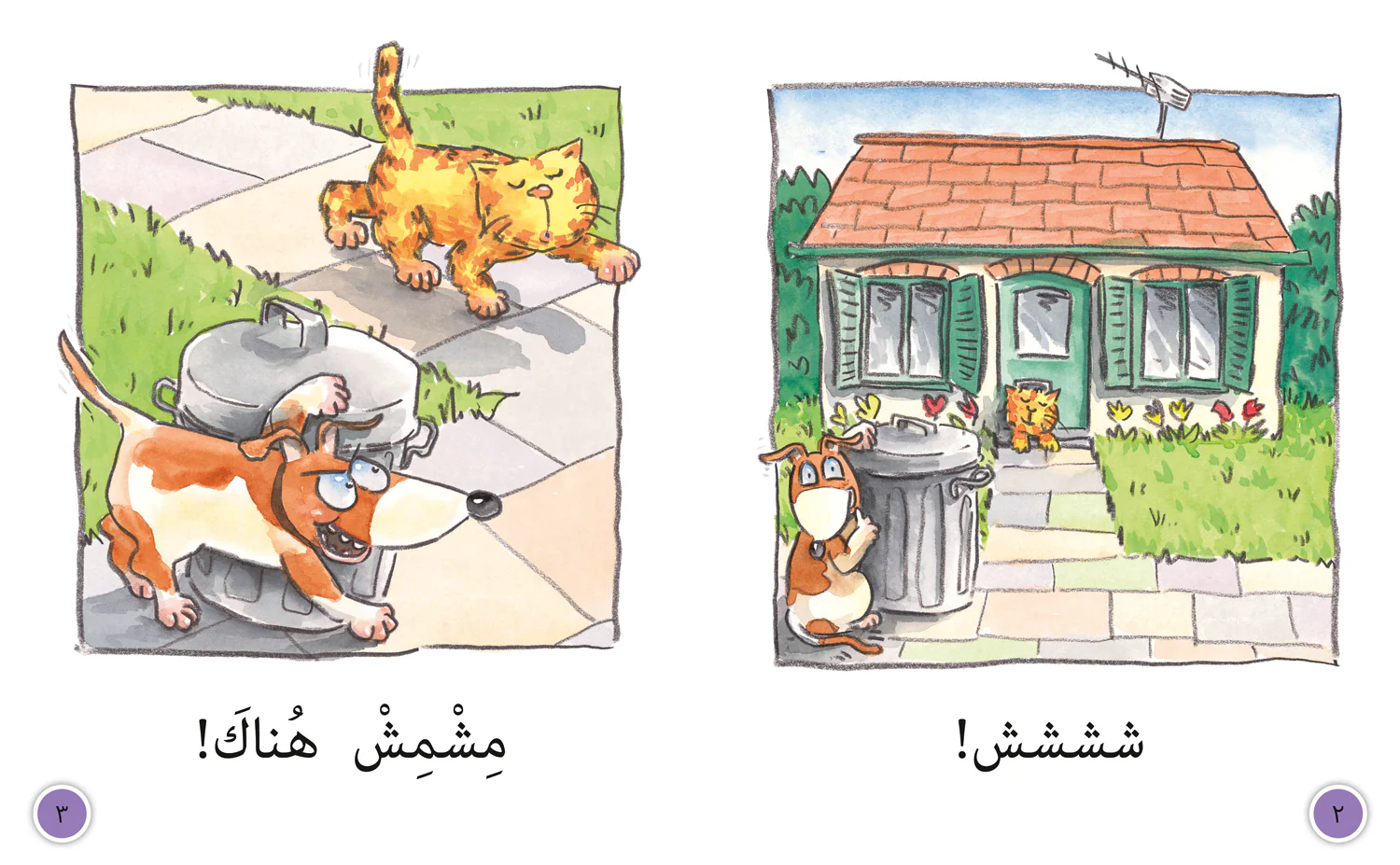 Collins Big Cat Arabic Reading Programme - Sesame and Apricot: Level 3 (KG) (First edition)