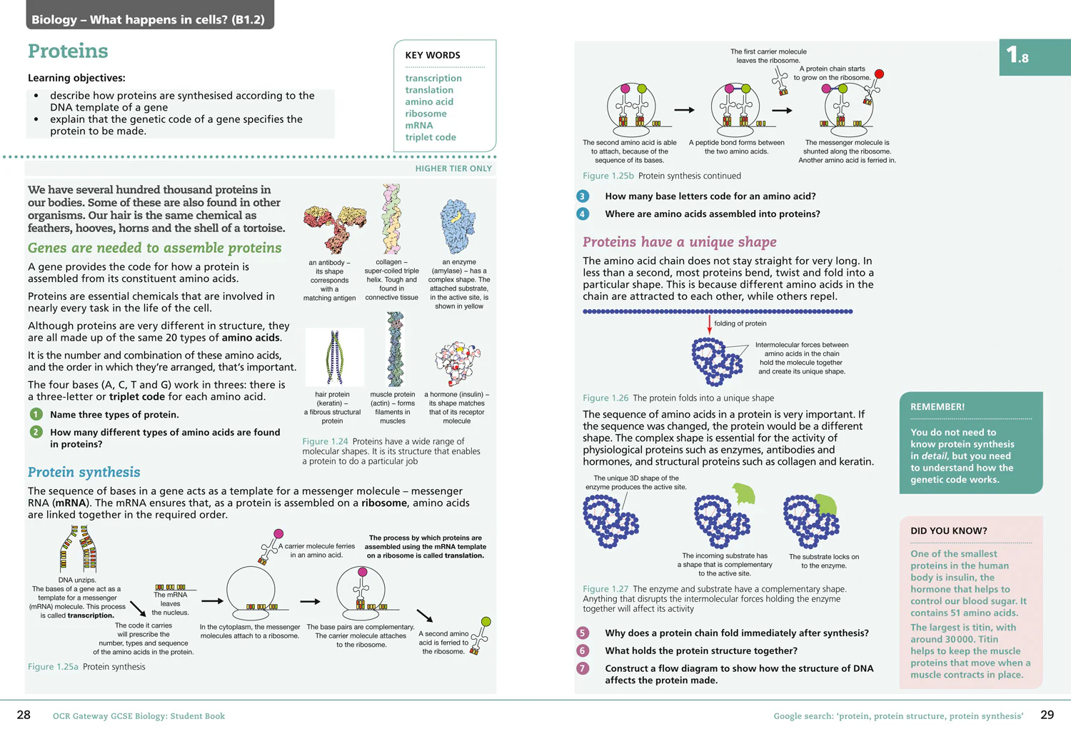 GCSE Science 9-1 - OCR Gateway GCSE Biology 9-1 Student Book - Image 3