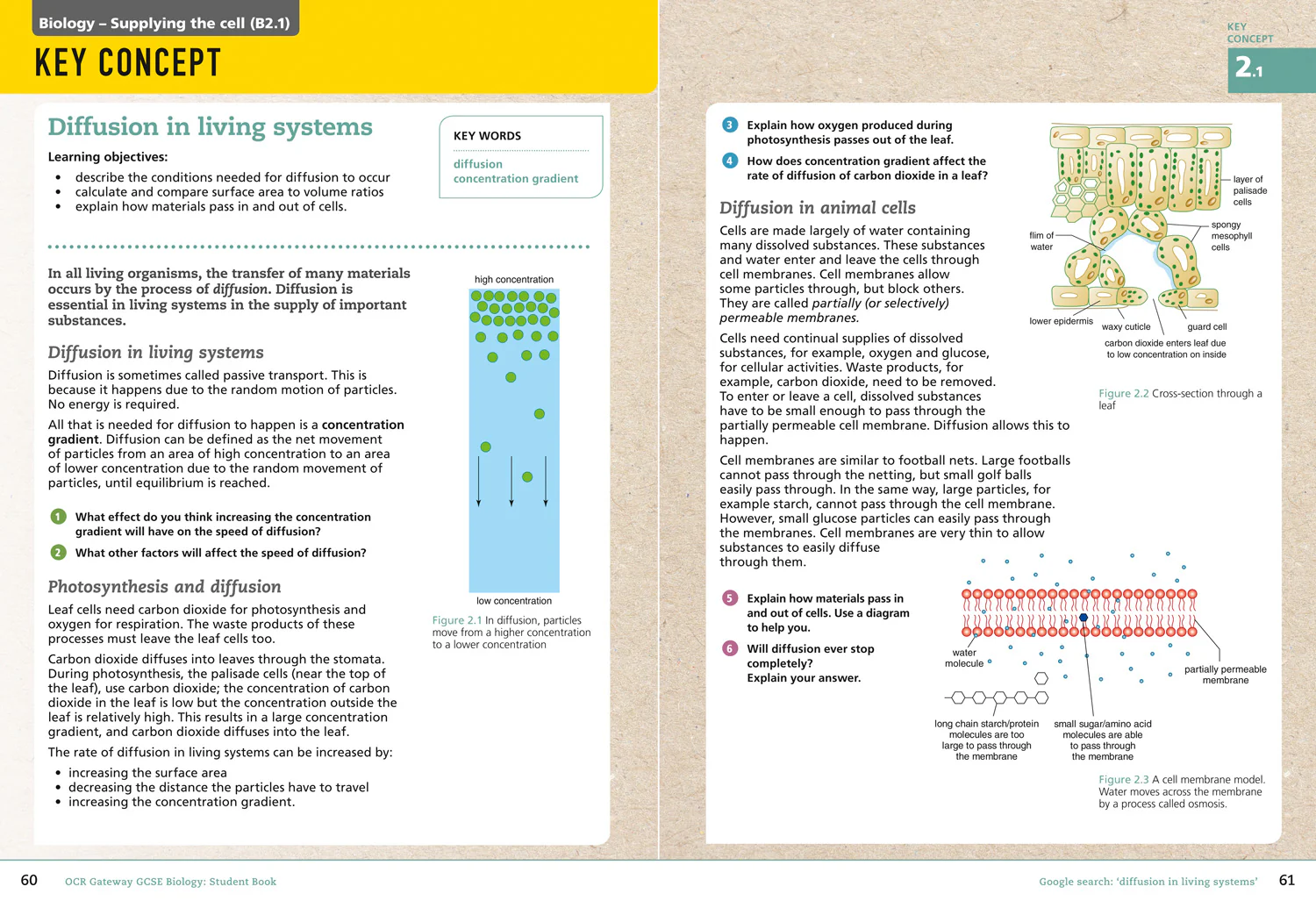 GCSE Science 9-1 - OCR Gateway GCSE Biology 9-1 Student Book - Image 4