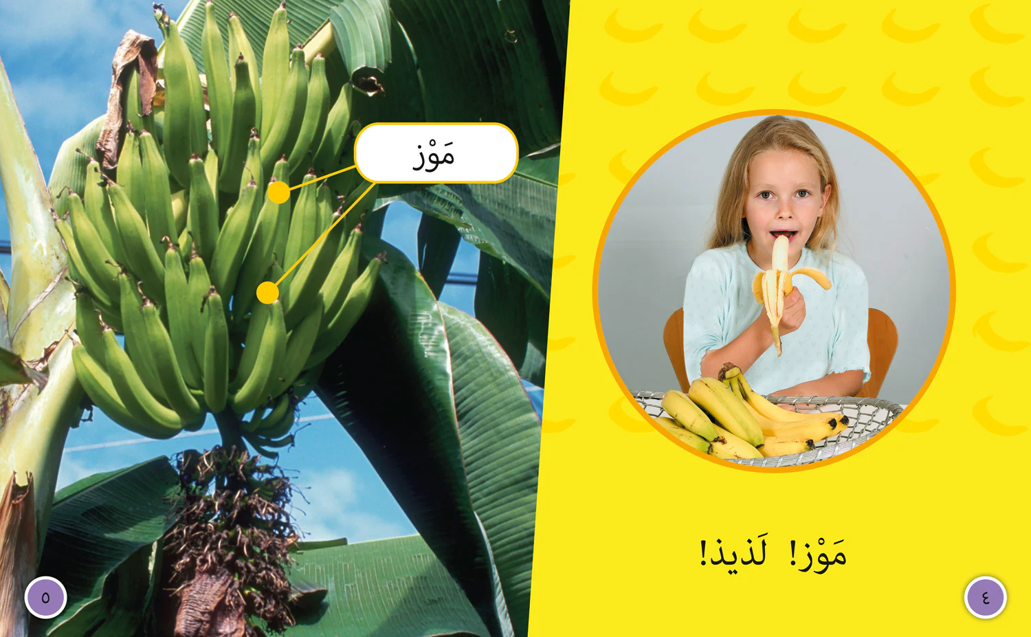 Collins Big Cat Arabic Reading Programme - Fruit: Level 4 - Image 3