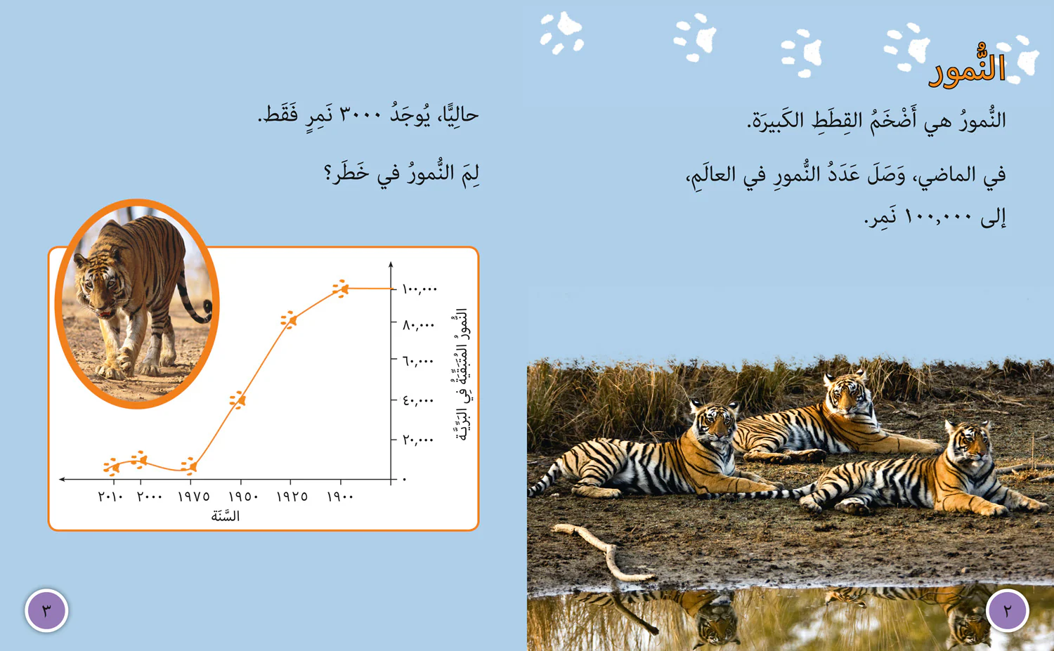 Collins Big Cat Arabic Reading Programme - Tigers in Danger: Level 10 - Image 2