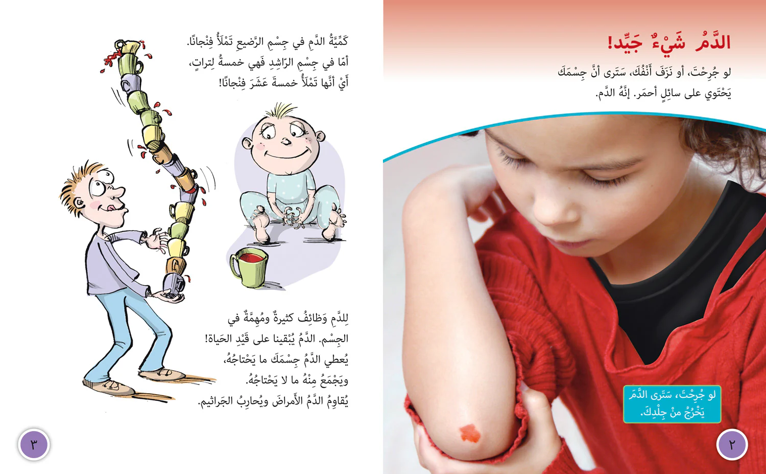 Collins Big Cat Arabic Reading Programme - Blood: Level 13 - Image 2