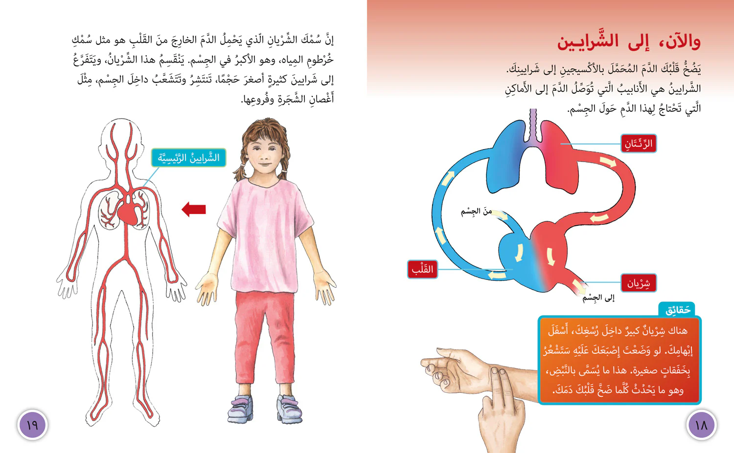 Collins Big Cat Arabic Reading Programme - Blood: Level 13 - Image 3