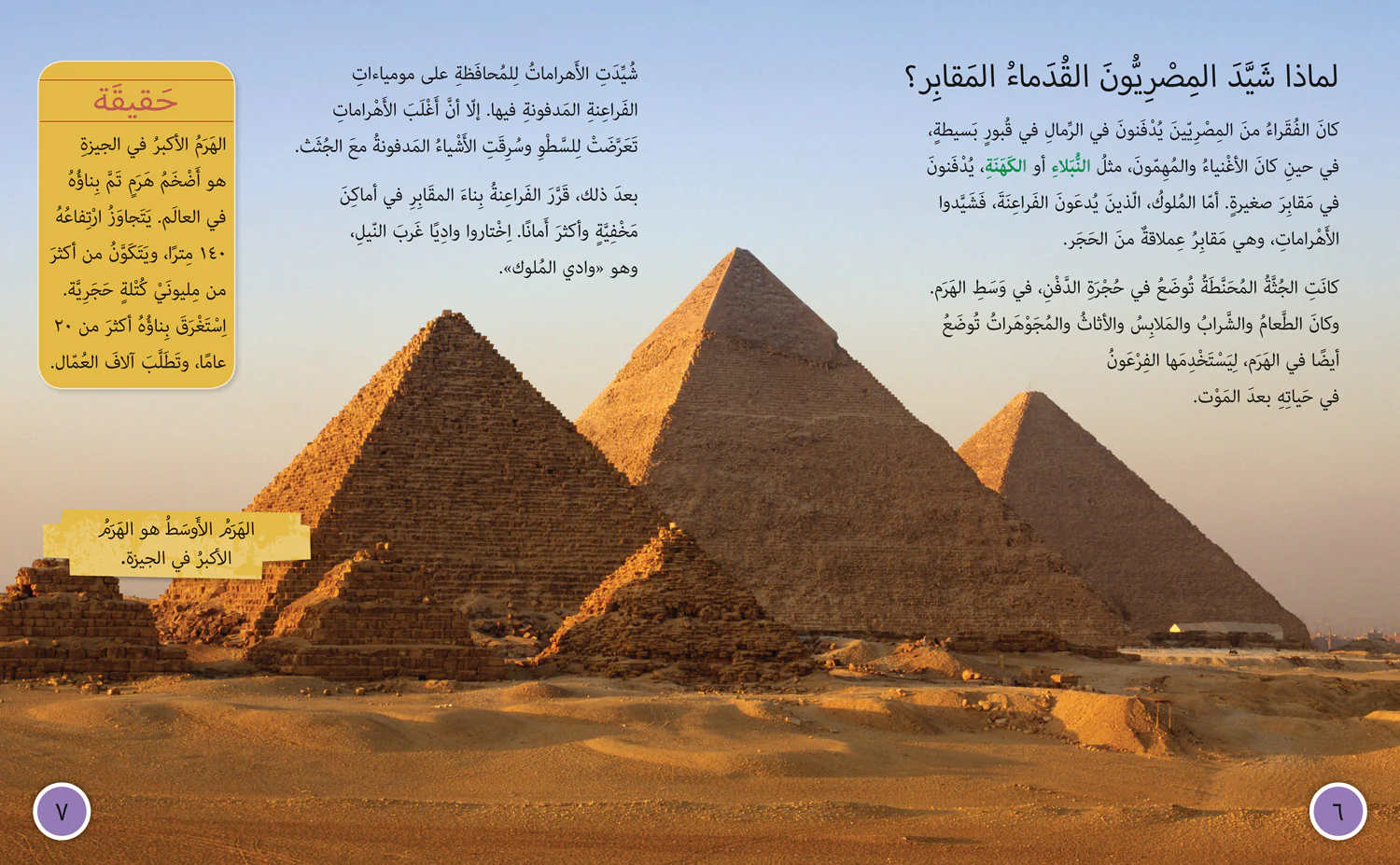 Collins Big Cat Arabic Reading Programme - Discovering Tutankhamun’s Tomb: Level 15 - Image 2