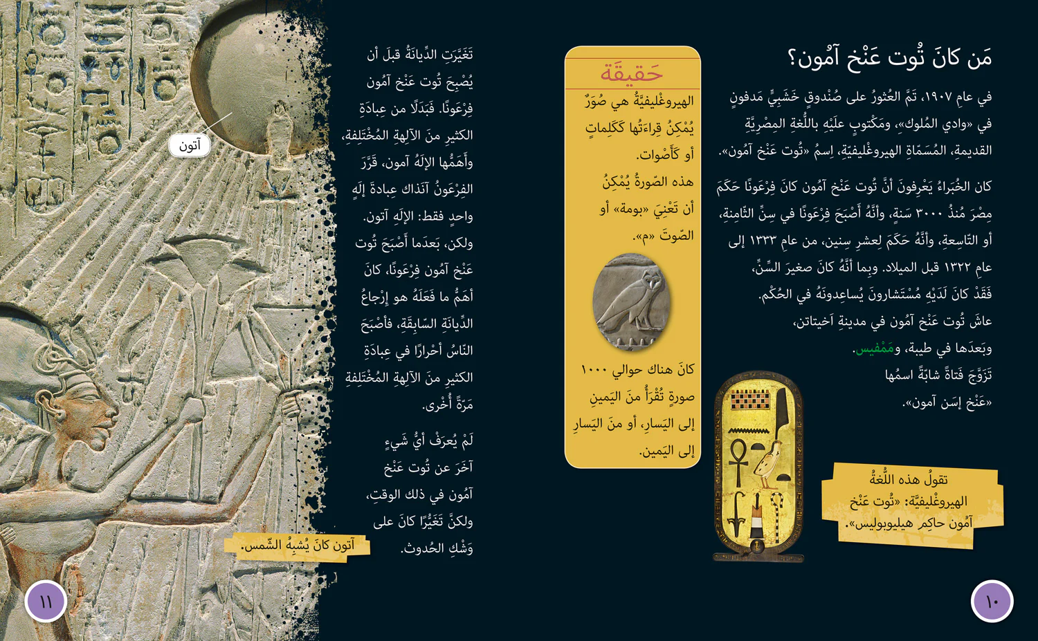 Collins Big Cat Arabic Reading Programme - Discovering Tutankhamun’s Tomb: Level 15 - Image 3