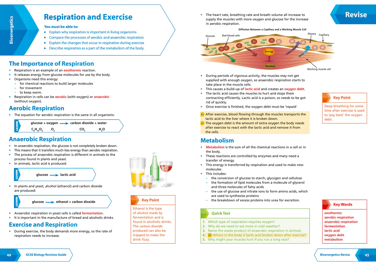 Collins GCSE Grade 9-1 Revision - AQA GCSE 9-1 Biology Revision Guide: Ideal for the 2026 and 2027 exams - Image 4