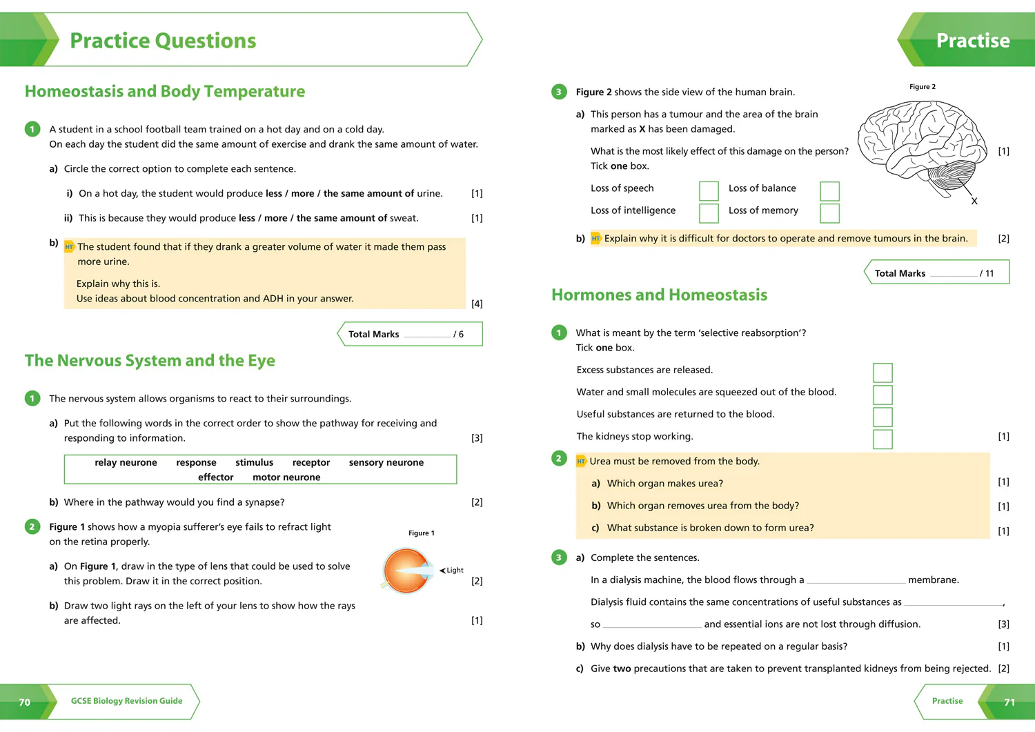 Collins GCSE Grade 9-1 Revision - AQA GCSE 9-1 Biology Revision Guide: Ideal for the 2026 and 2027 exams - Image 5