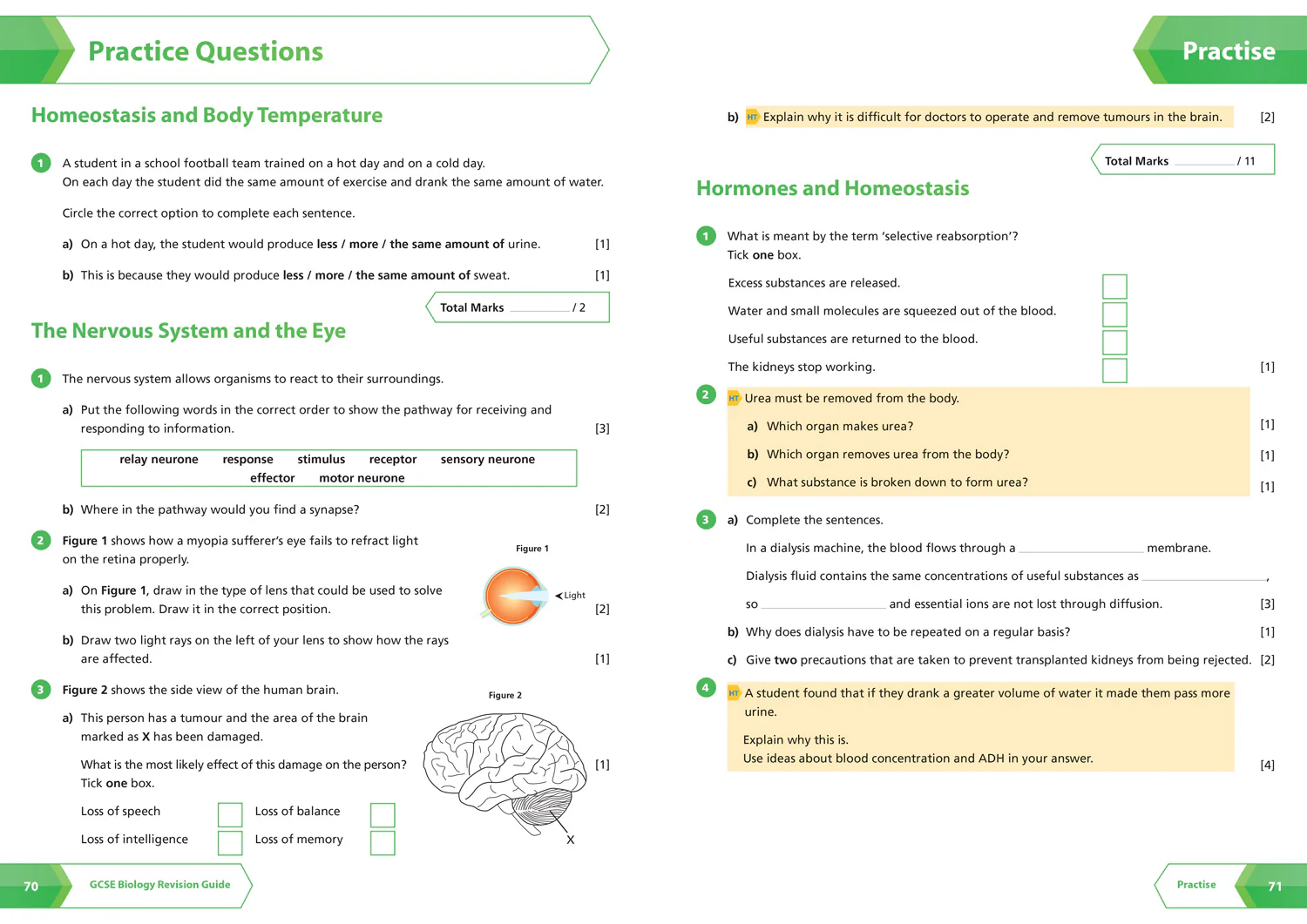 Collins GCSE Grade 9-1 Revision - AQA GCSE 9-1 Biology All-in-One Complete Revision and Practice: Ideal for the 2026 and 2027 exams includes online edition, quizzes and video solutions - Image 5